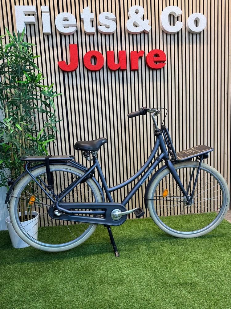 Batavus Packd (49cm), foto 1