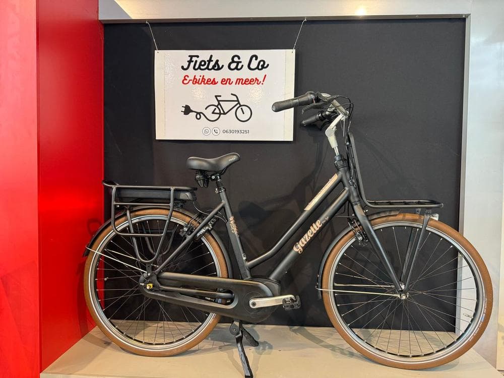 Gazelle Miss Grace (668km), foto 1