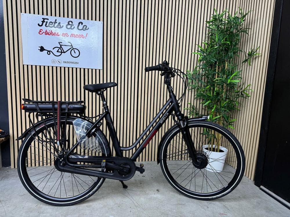 Stella Vicenza FDST Premium, foto 1