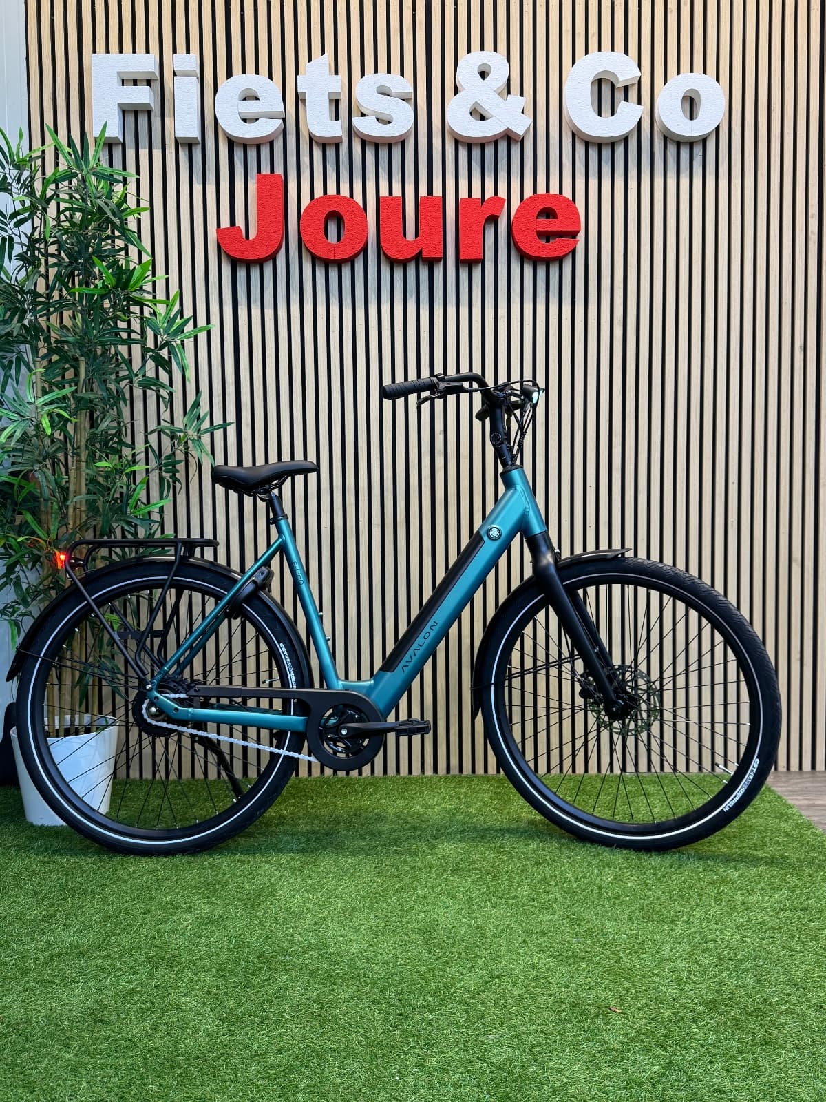 Avalon E.Linq, foto 1