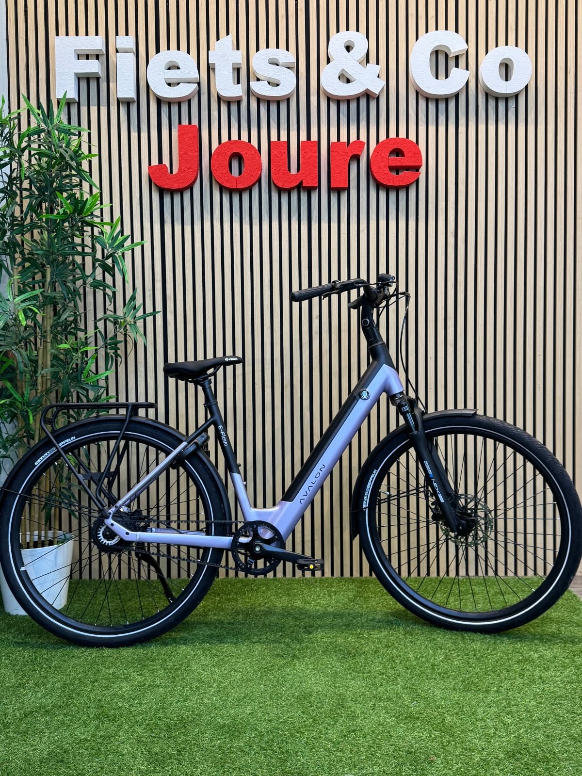 Avalon E-Flow purple