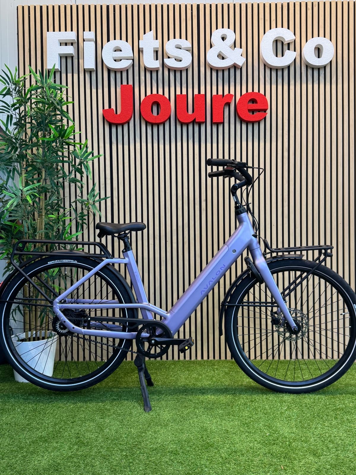 Avalon E-Moev
